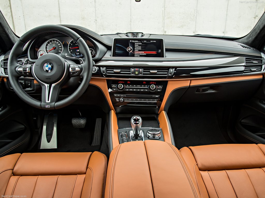 BMW-X6_M_2016_1024x768_wallpaper_85[1].jpg