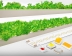 삼성전자, 백색 빛 기반 식물 생장용 LED 신제품 출시