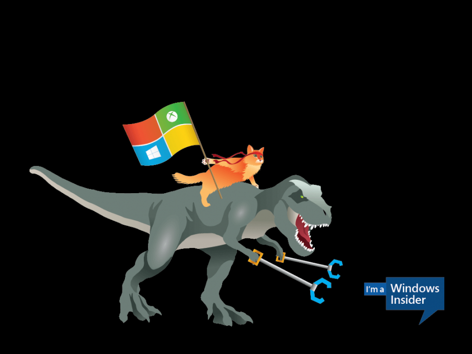 Windows-10-Ninjacat-Meme-1437562385-0-0.jpg